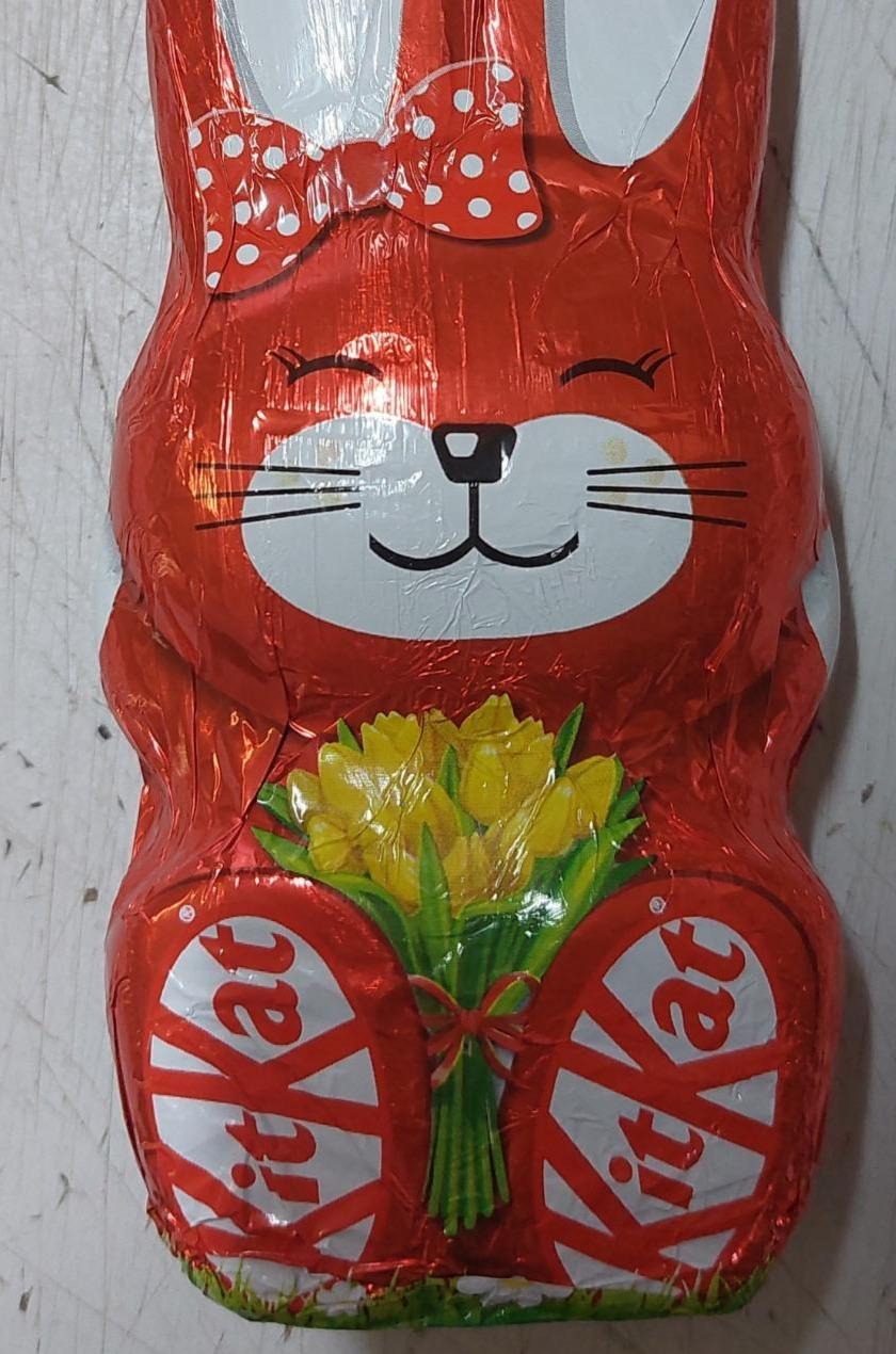 Фото - Фигура шоколадная из молочного шоколада со злаковыми хлопьями Пасхальный кролик Kit Kat