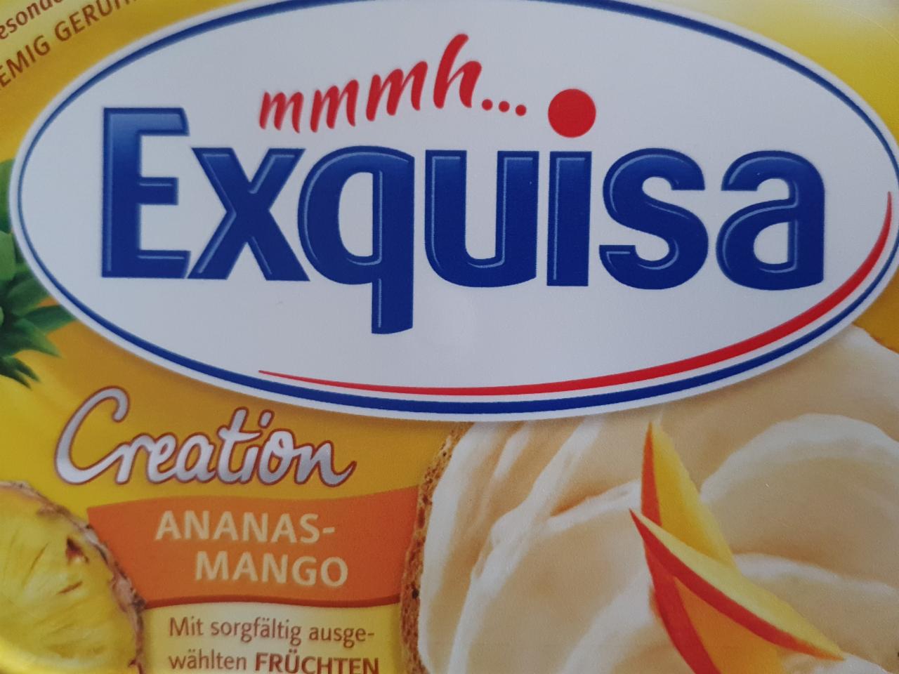 Фото - крем-сыр Креатион ананас-манго Exquisa