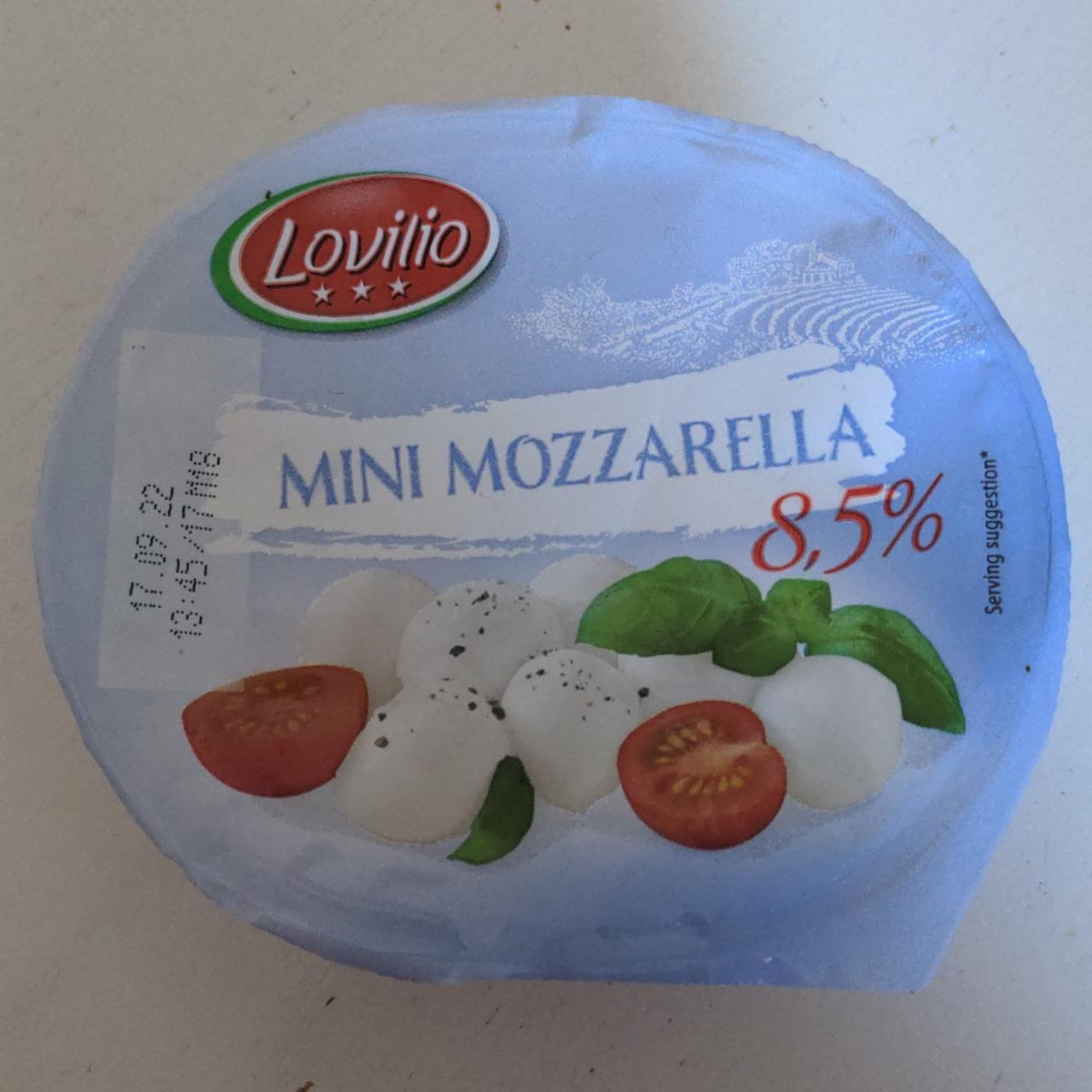 Фото - Сыр 8.5% Mini Mozzarella Light Lovilio