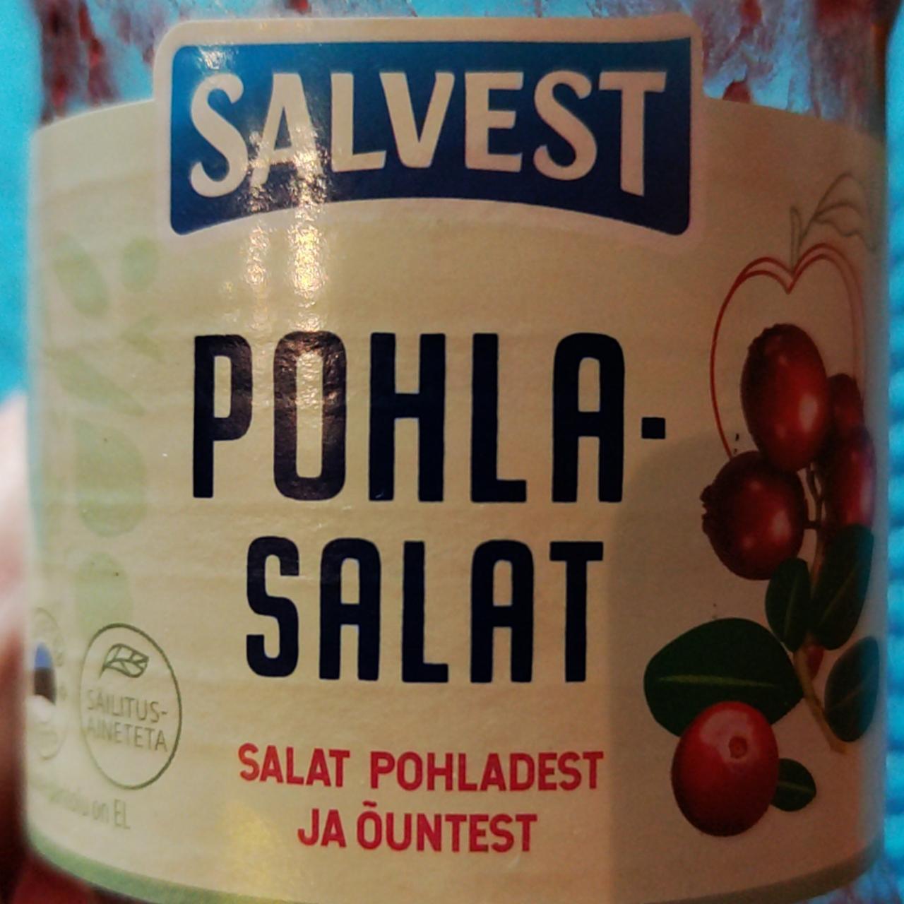 Фото - клюква pohla-salat Salvest