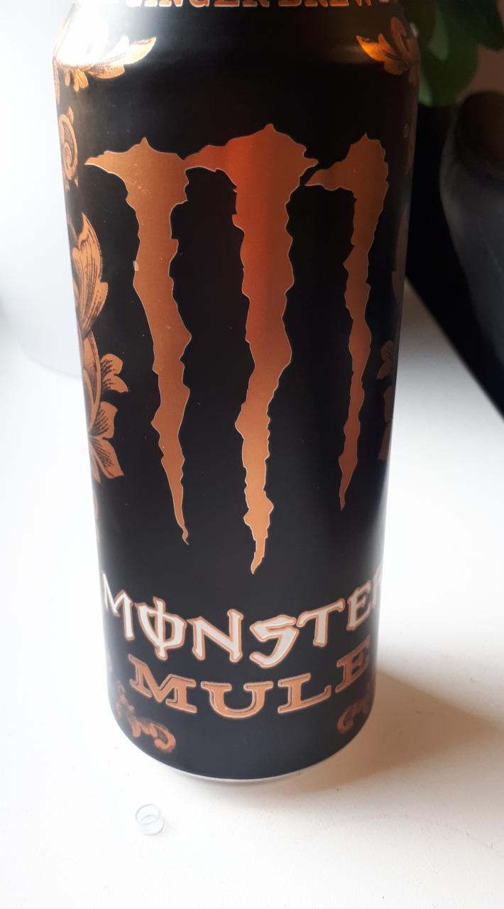 Фото - Энергетический напиток ginger beer Monster energy