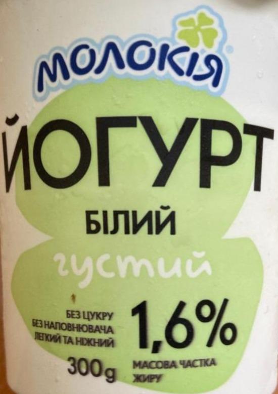 Фото - Йогурт 1.6% белый густой без сахара без наполнителя Молокия