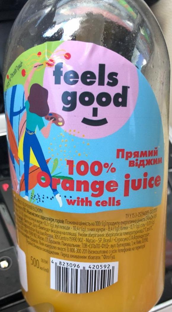 Фото - Сок апельсиновый Orange Juice 100% Feels Good