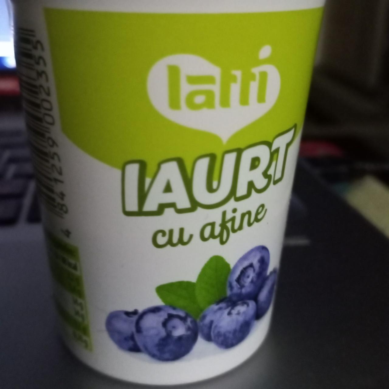 Фото - йогурт с черникой Latti