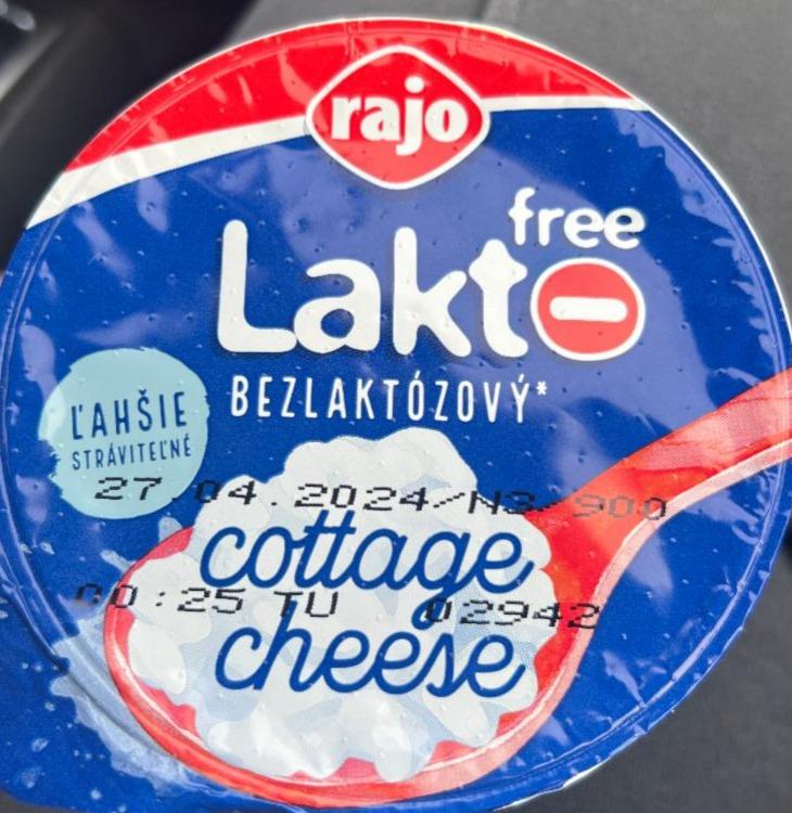 Фото - Lakto free cottage cheese Rajo