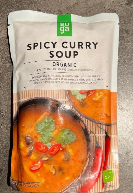 Фото - Spicy curry soup Auga