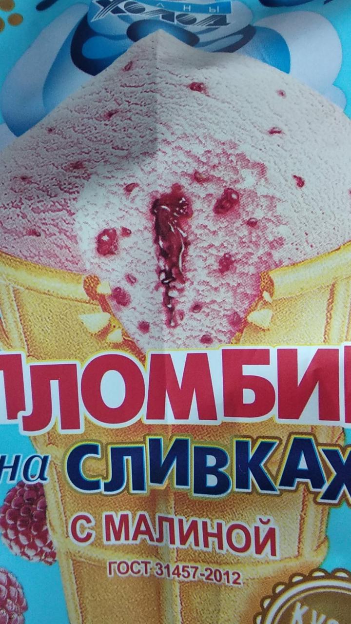 Фото - мороженое пломбир на сливках с малиной в вафельном стаканчике Челны холод