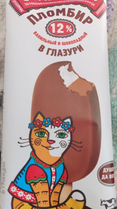 Фото - мороженое эскимо пломбир ванильный и шоколадный в глазури Сарафаново