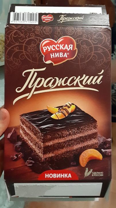 Фото - торт бисквитный пражский Русская нива