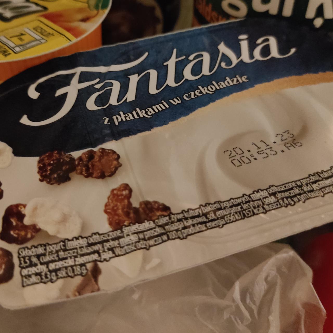 Фото - ливочный йогурт с шоколадными хлопьями Fantasia
