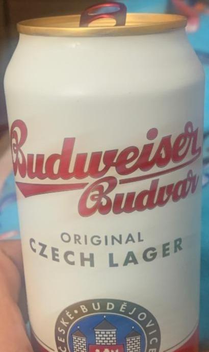Фото - Пиво светлое фильтрованное 5% Budweiser Budvar
