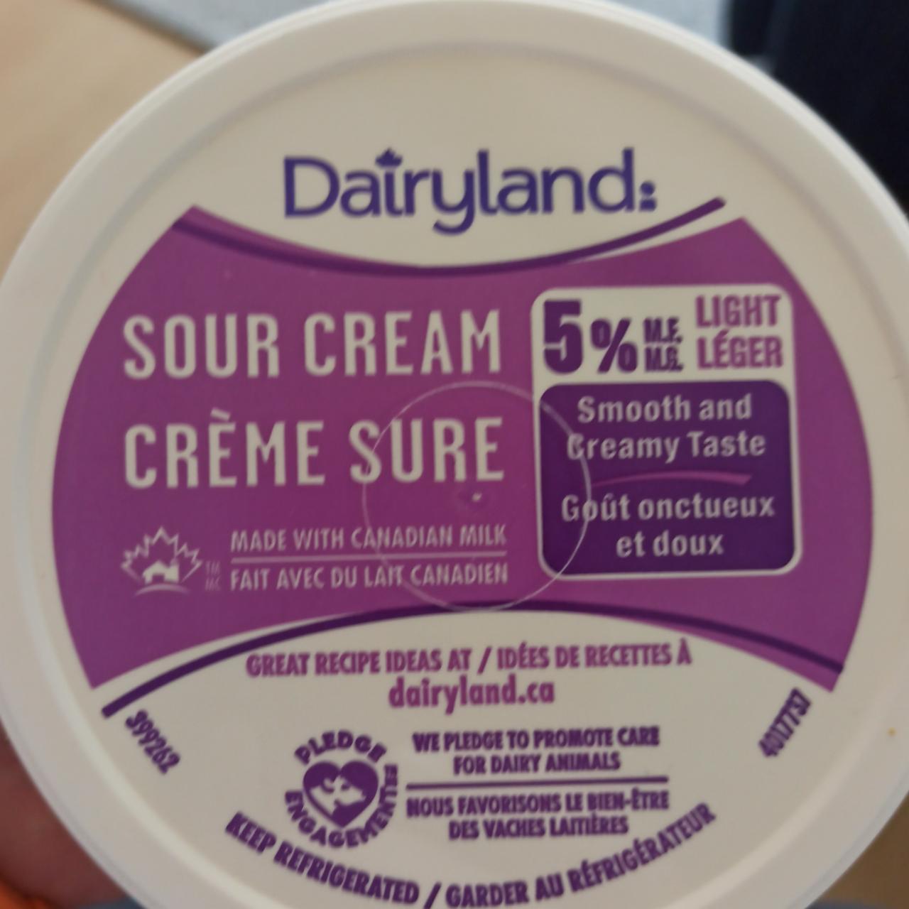 Фото - Сметана 5% Sour Cream Dairyland