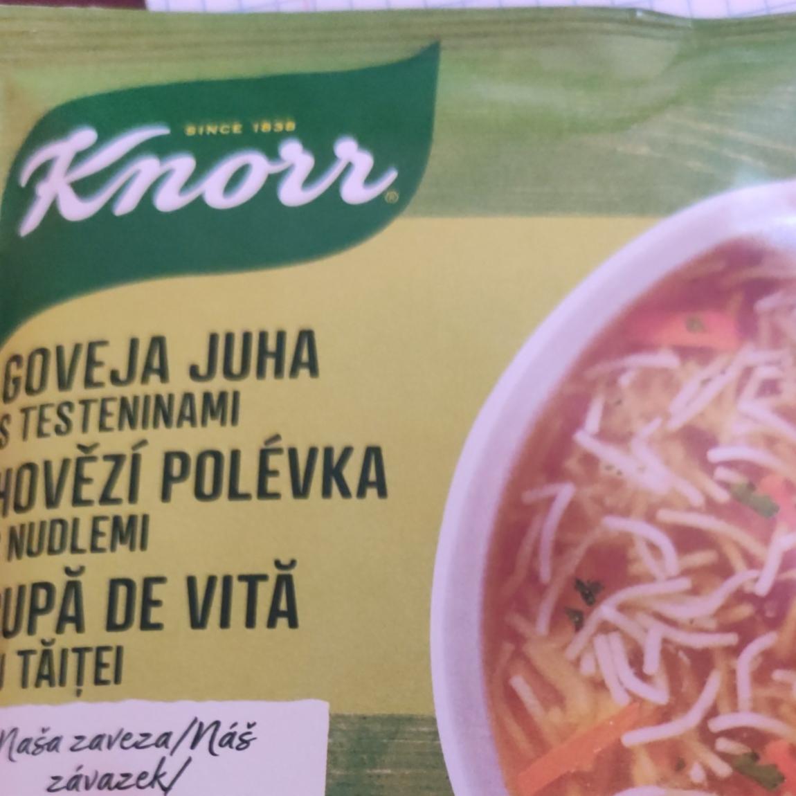 Фото - Суп с лапшой Hovězí polévka s nudlemi Knorr
