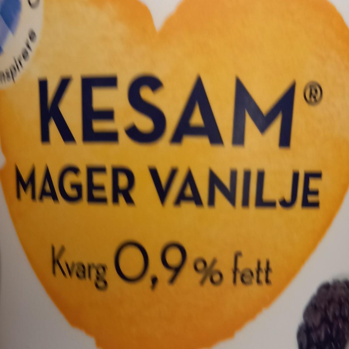 Фото - йогурт ванильный 0.9% жира Kesam