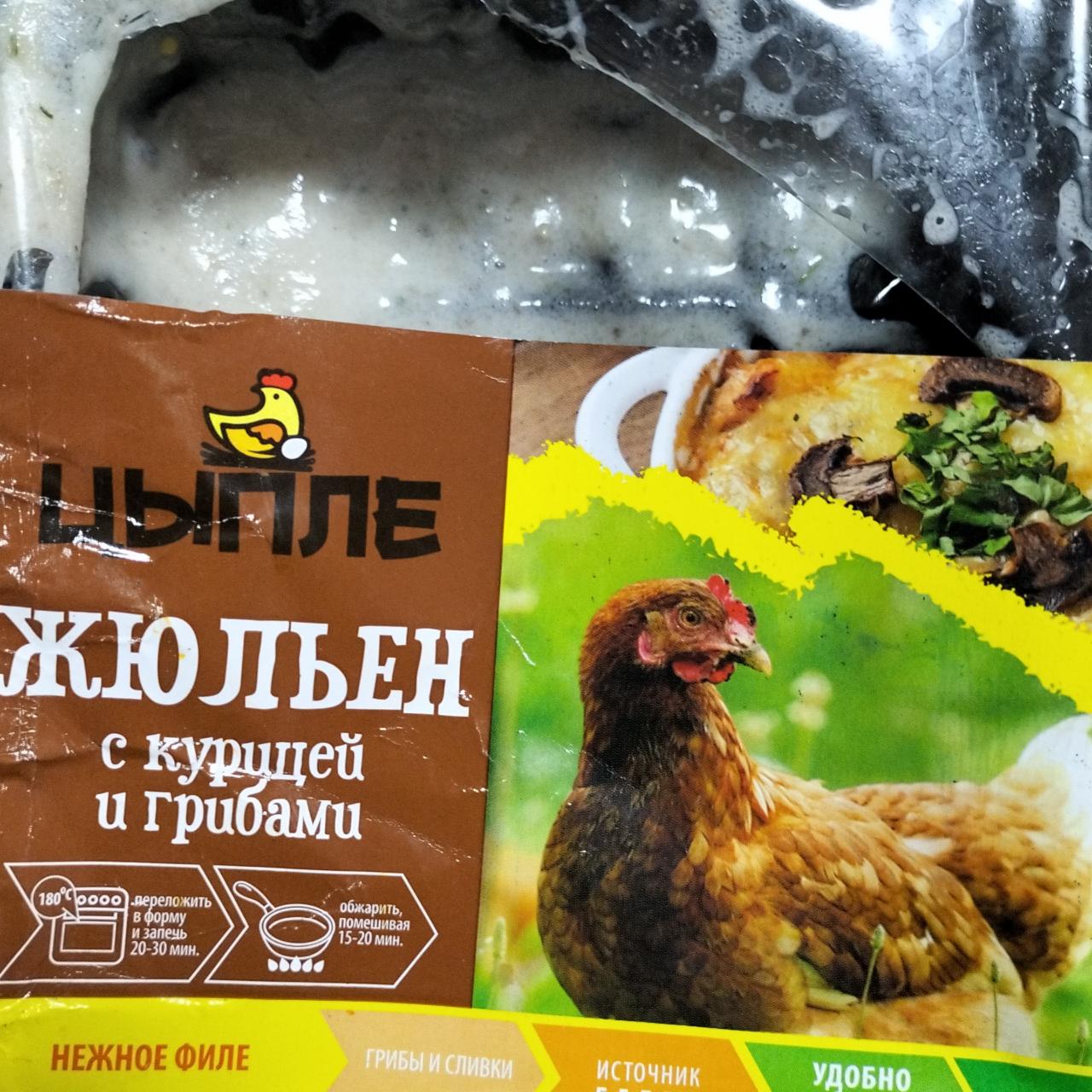 Фото - Жюльен с курицей и грибами Цыпле