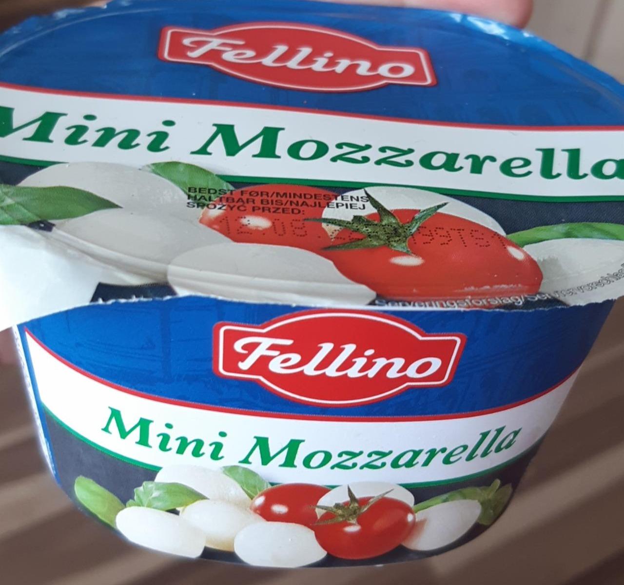 Фото - Сыр Моцарелла Mini Mozzarella Fellino