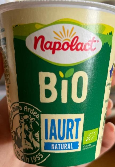 Фото - Йогурт Bio 3.8% Napolact