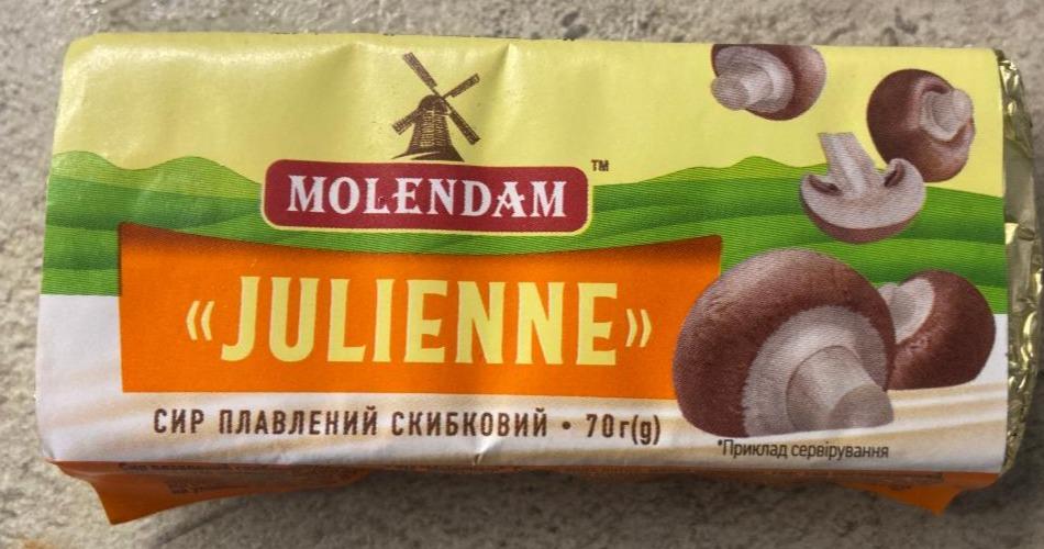 Фото - сыр плавленный сливочный 40% Julienne с грибами Molendam