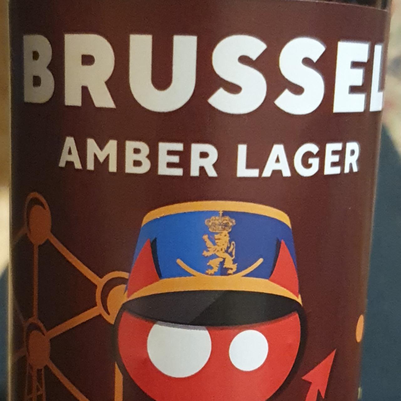Фото - Пиво темное нефильтрованное Amber Large Brussel Red Cat